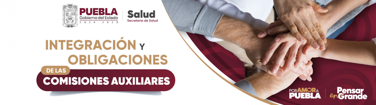 Integraci&oacute;n y obligaciones de las Comisiones Auxiliares