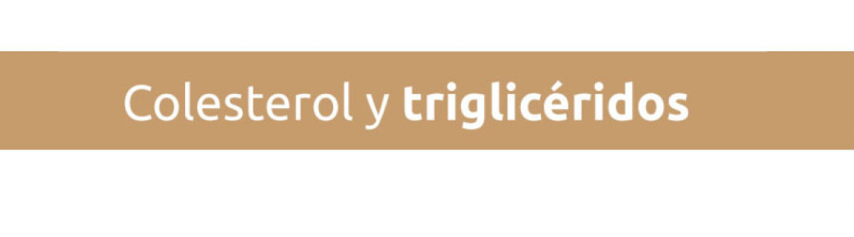 Colesterol y triglic&eacute;ridos